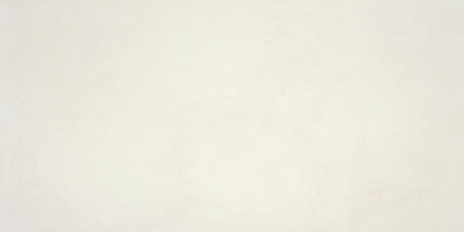 P.E. ALWAYS WHITE MT 60X120 RECT. SB vue 4