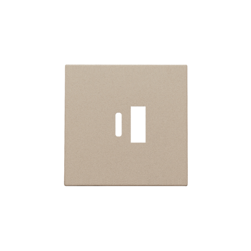 Set de finition pour double chargeur USB-A et USB-C intelligent, couleur champagne coated
