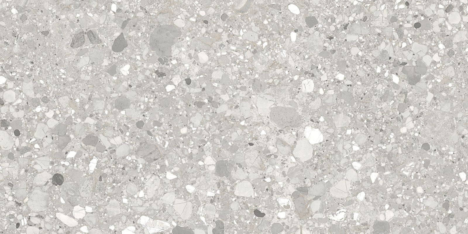 CLEMON SILVER 60×120(n) REC