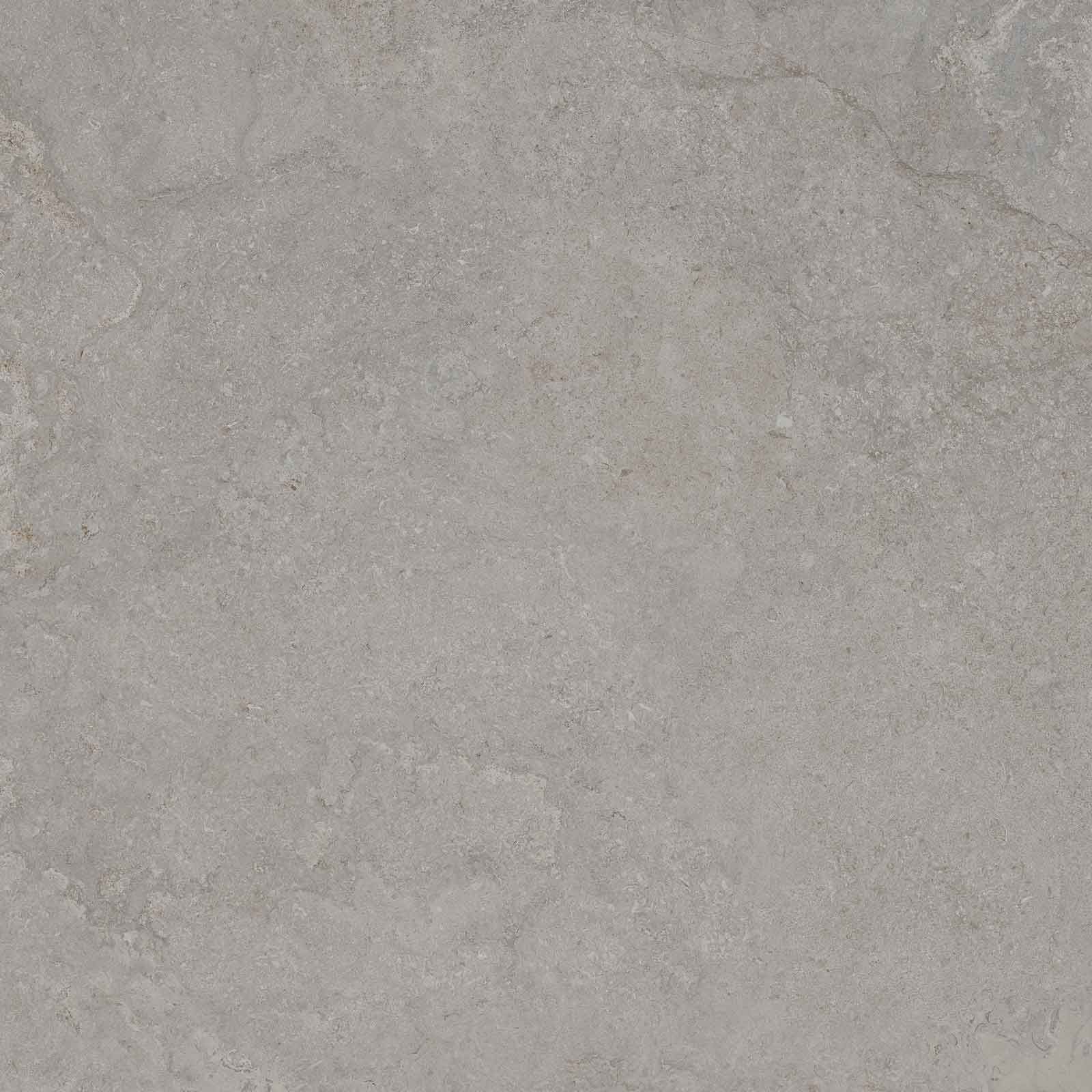 DORSET SILVER 100X100 REC