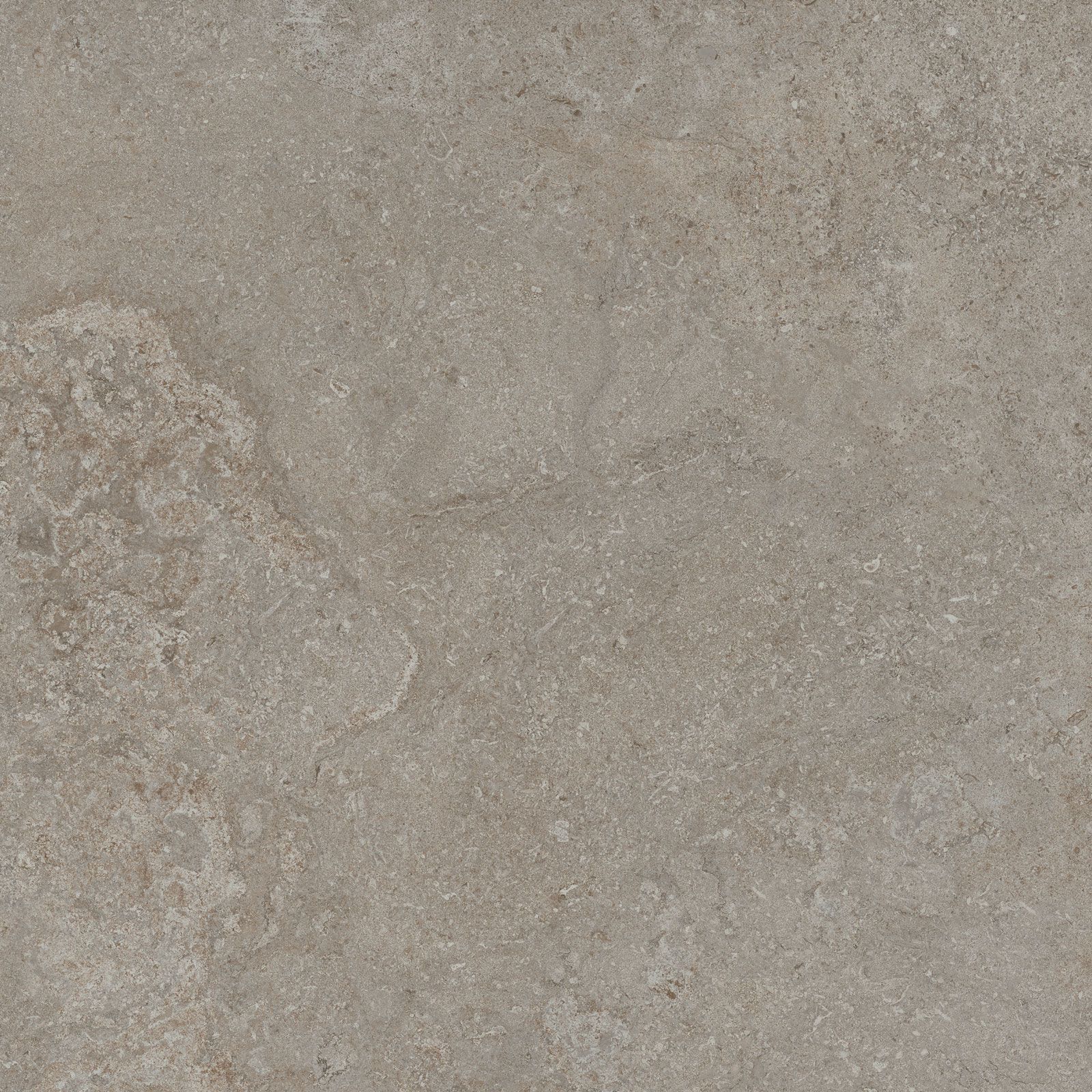 DORSET GREIGE 60x60n(C) REC