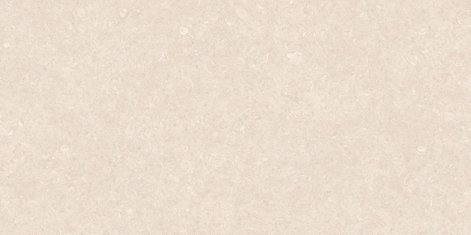 SONORA ALMOND 60×120(n) REC