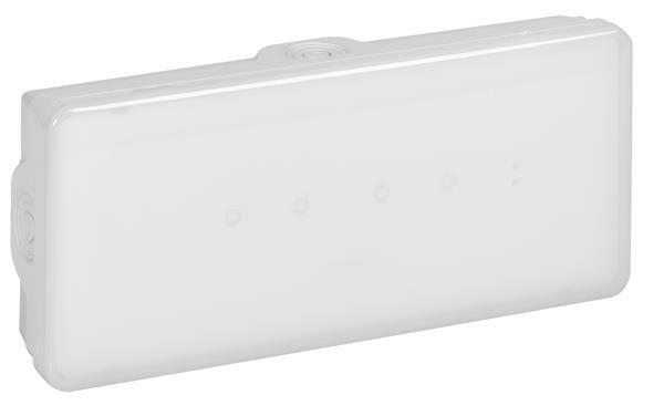 B65 non permanent / P 100lm 3h IP65 Led autotest / adressable