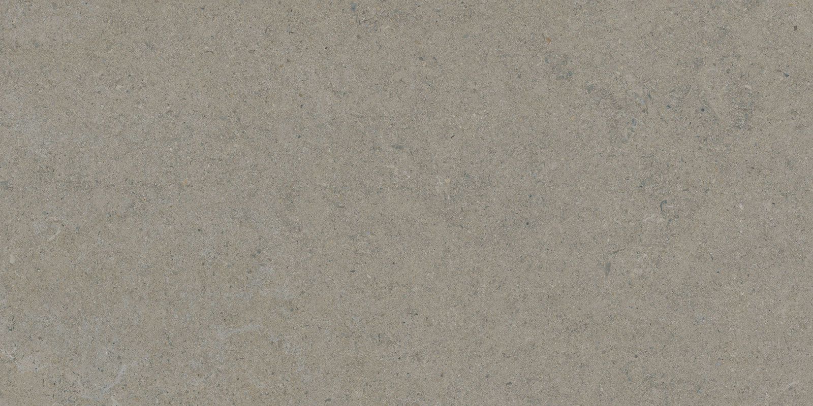 CALCARE GREIGE 60X120(T)C SP