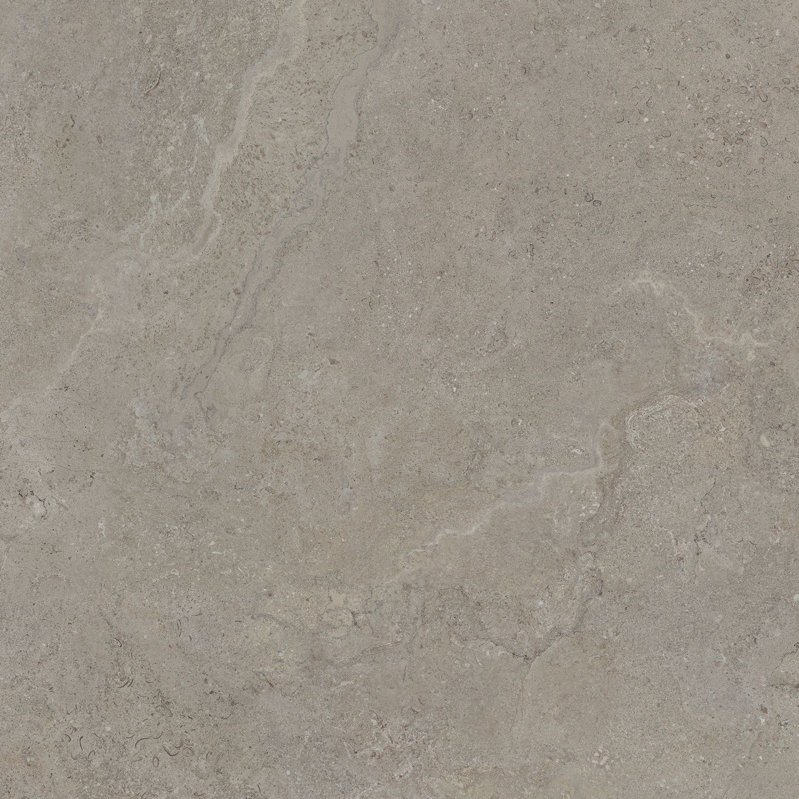 DORSET GREIGE 90×90(N) REC