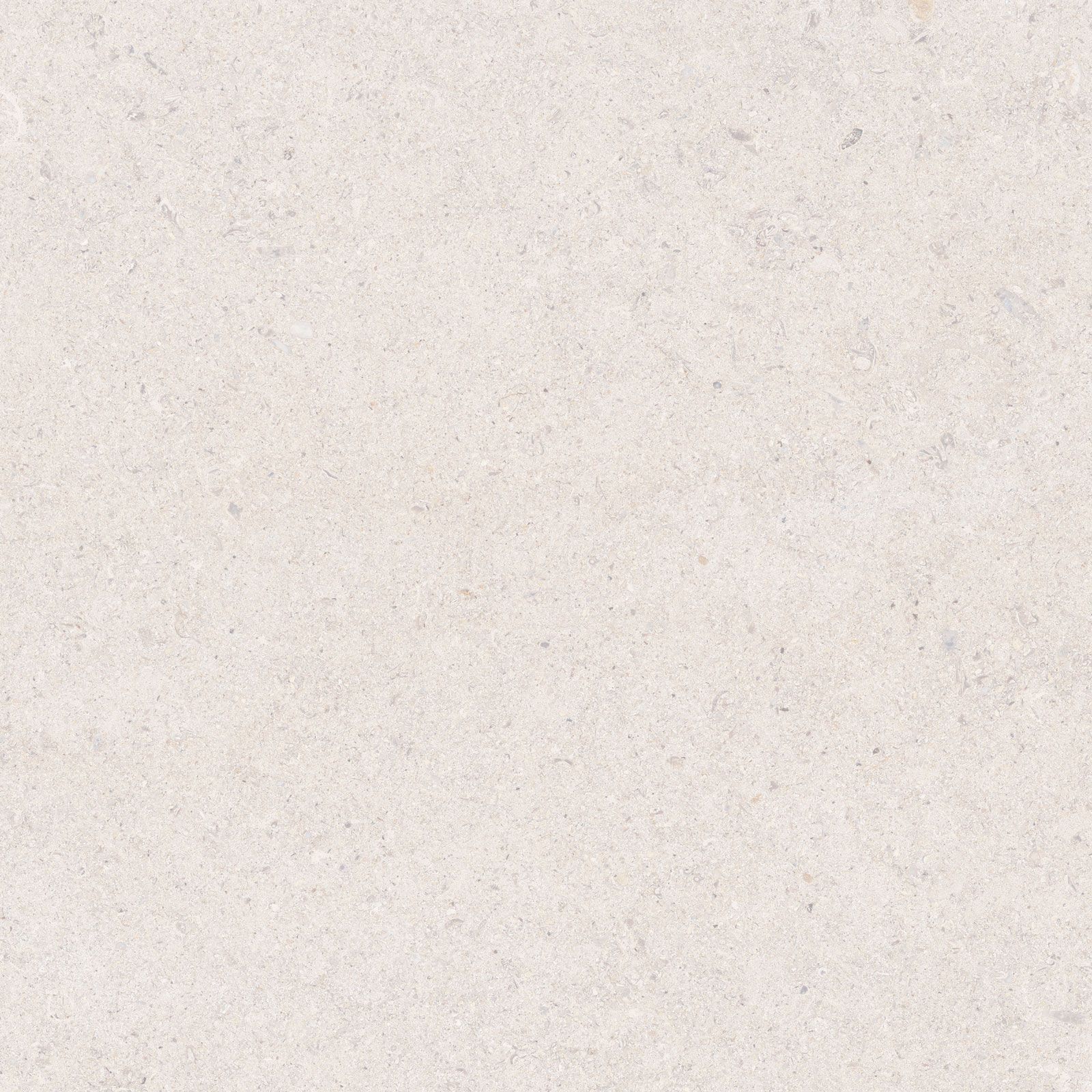 CALCARE WHITE 60X60(T)C SP