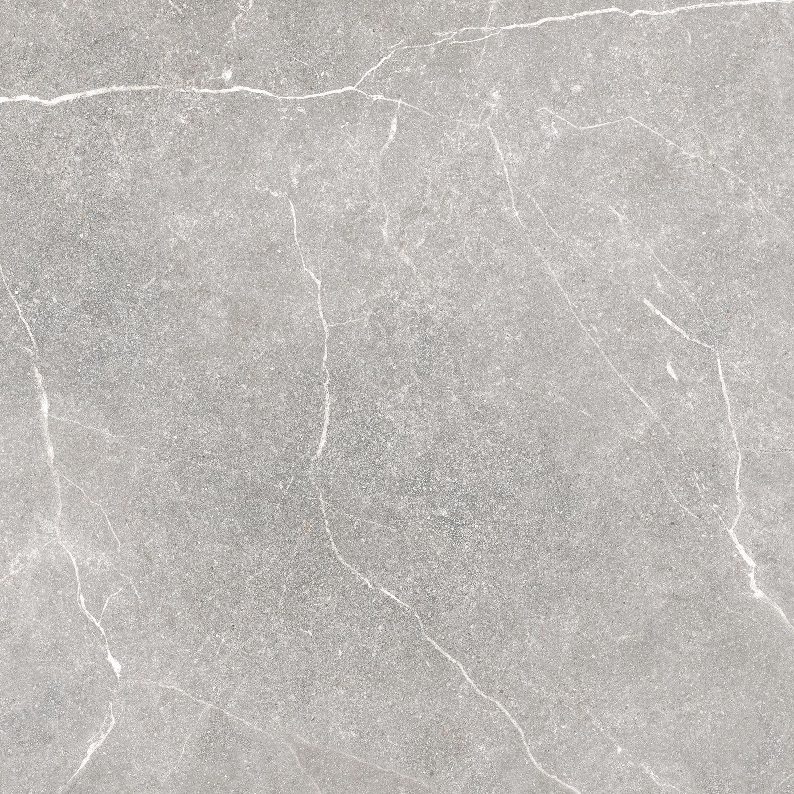 SOAPSTONE SILVER 100X100