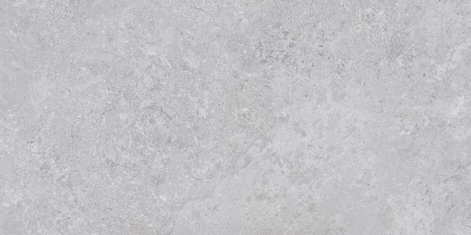 BORGA SILVER 60×120(n) REC