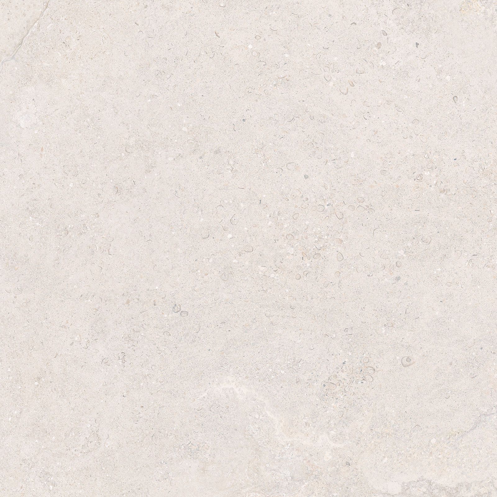 DORSET WHITE 60x60n(C) ADZ