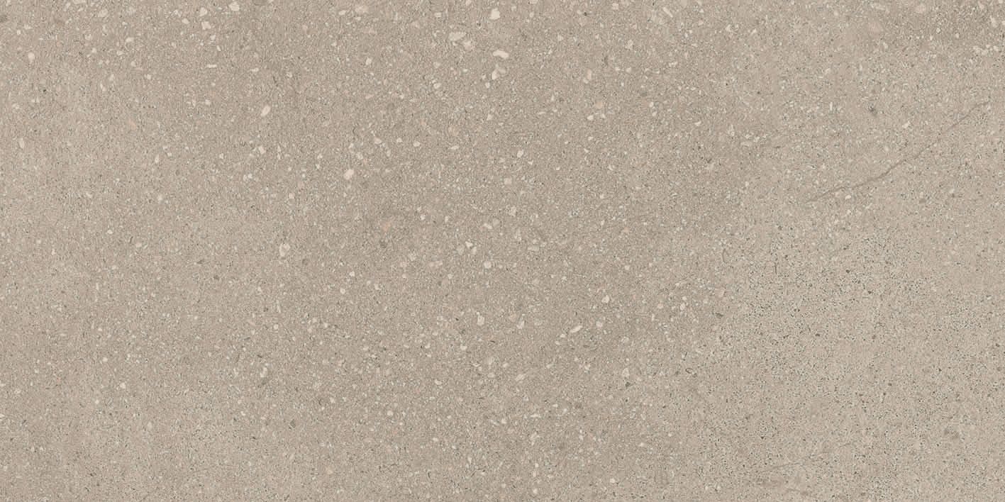 INTEGRA GREIGE 30X60 (C) REC