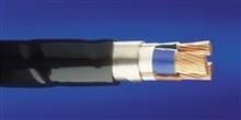 Exvb 4 G 4 Noir classe CPR: ECA