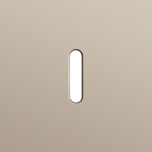 Plaque de recouvrement simple, pour des fonctions de commutation simple, couleur Niko Rocker steel champagne coated