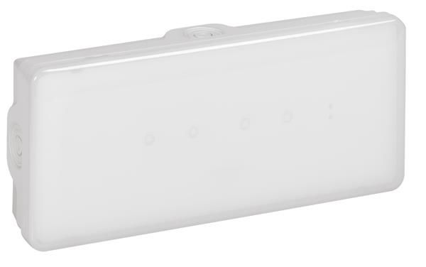 B65 non permanent / P 250lm 1h IP65 Led autotest / adressable