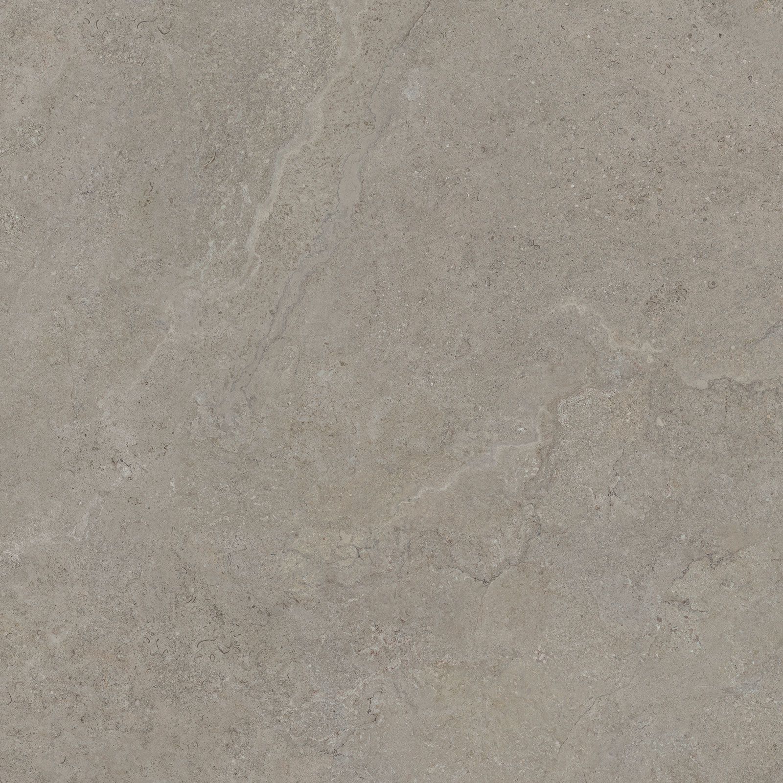 DORSET GREIGE 120X120 REC