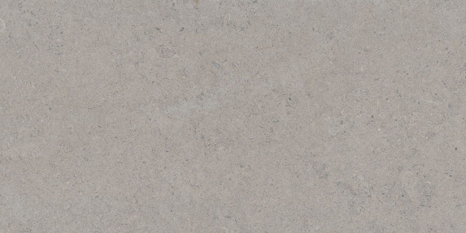 CALCARE SILVER 60X120(T)C SP