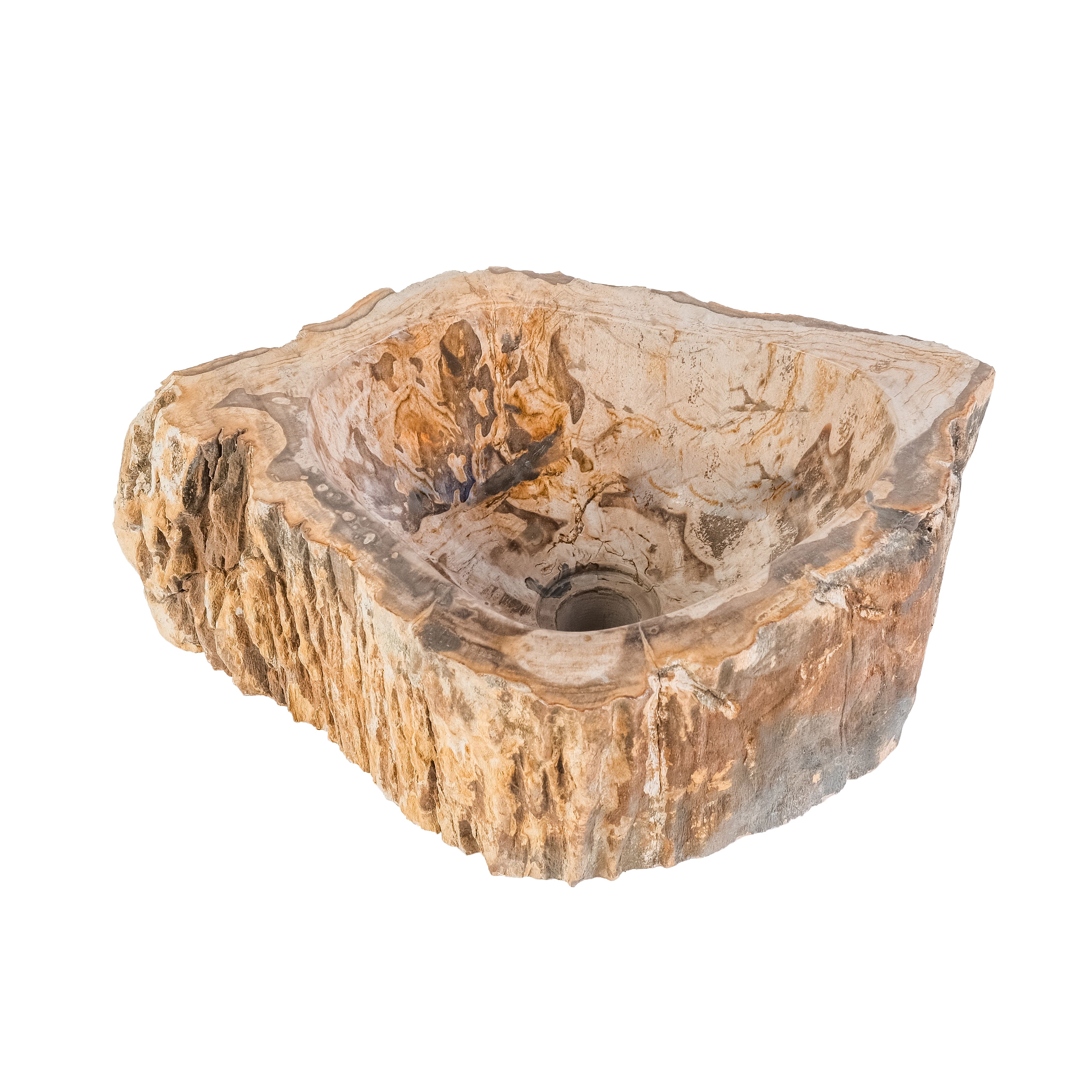 WASKOM FOSSIEL HOUT 30-35x15CM vue 3
