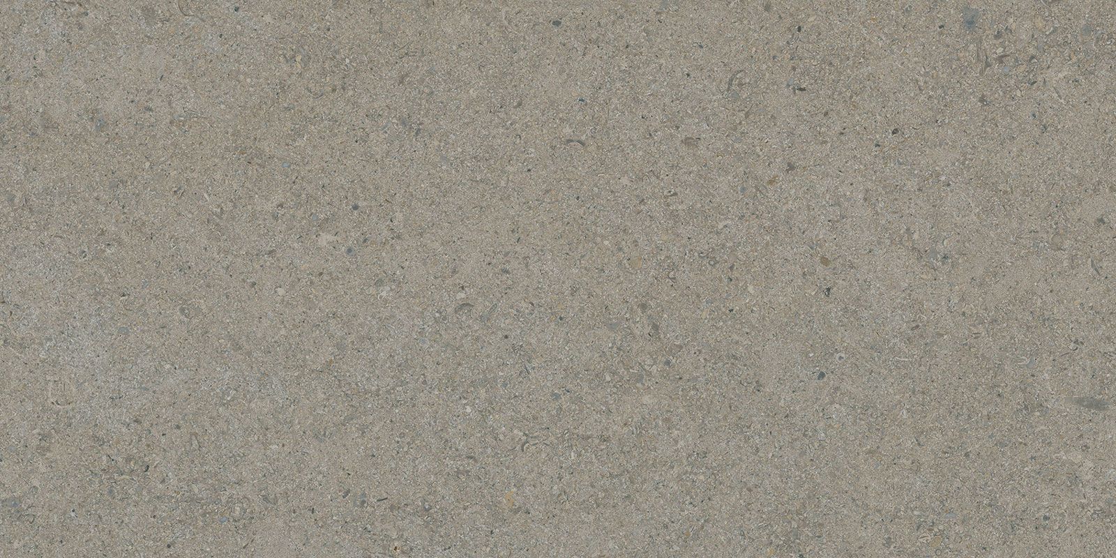 CALCARE GREIGE 30X60(T)C BRU
