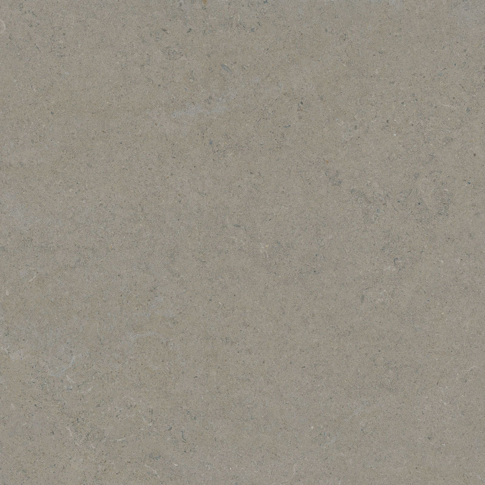 CALCARE GREIGE 120×120(T) BRU