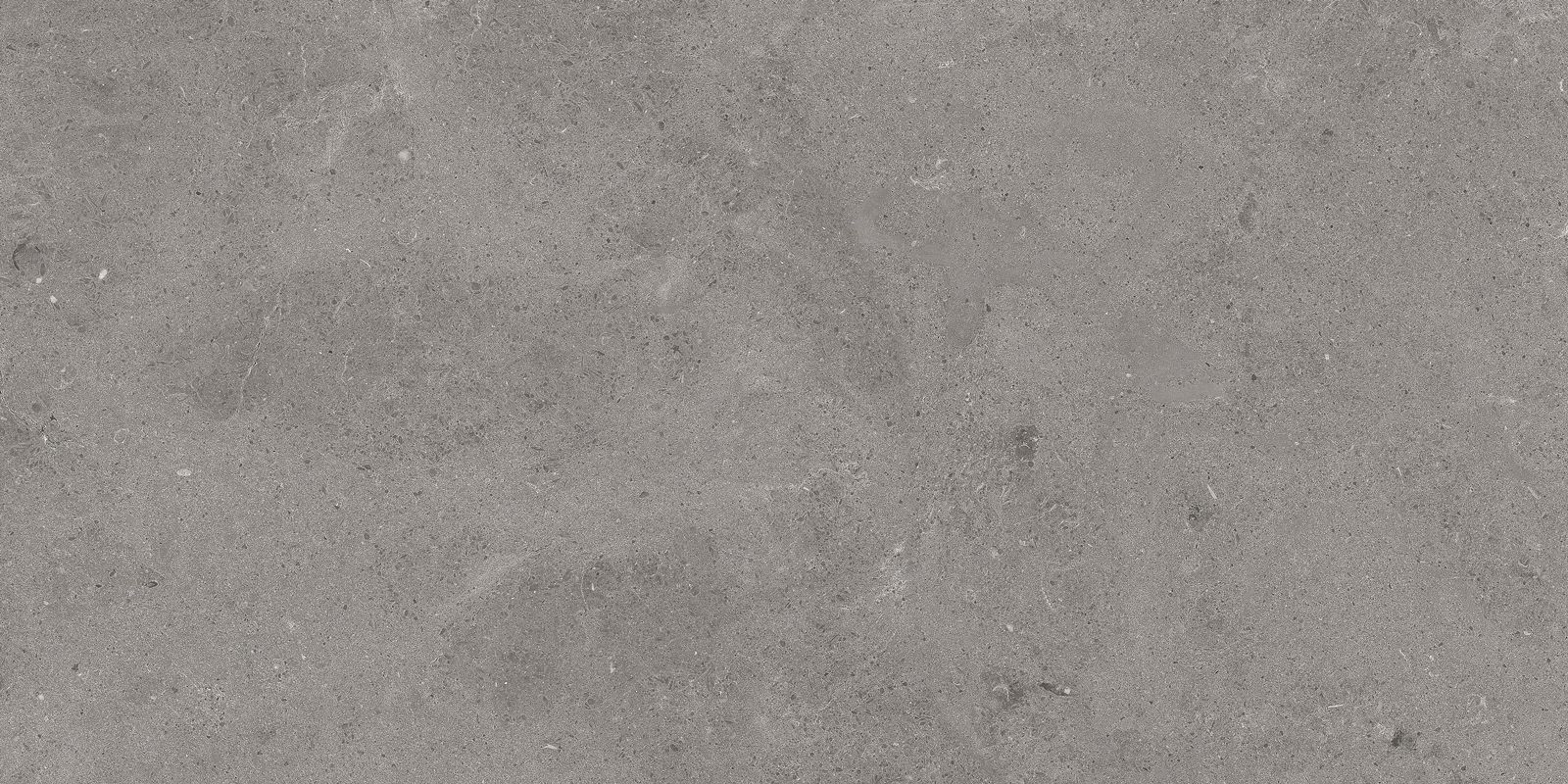 SERENASTONE GRAY 60×120(n) REC