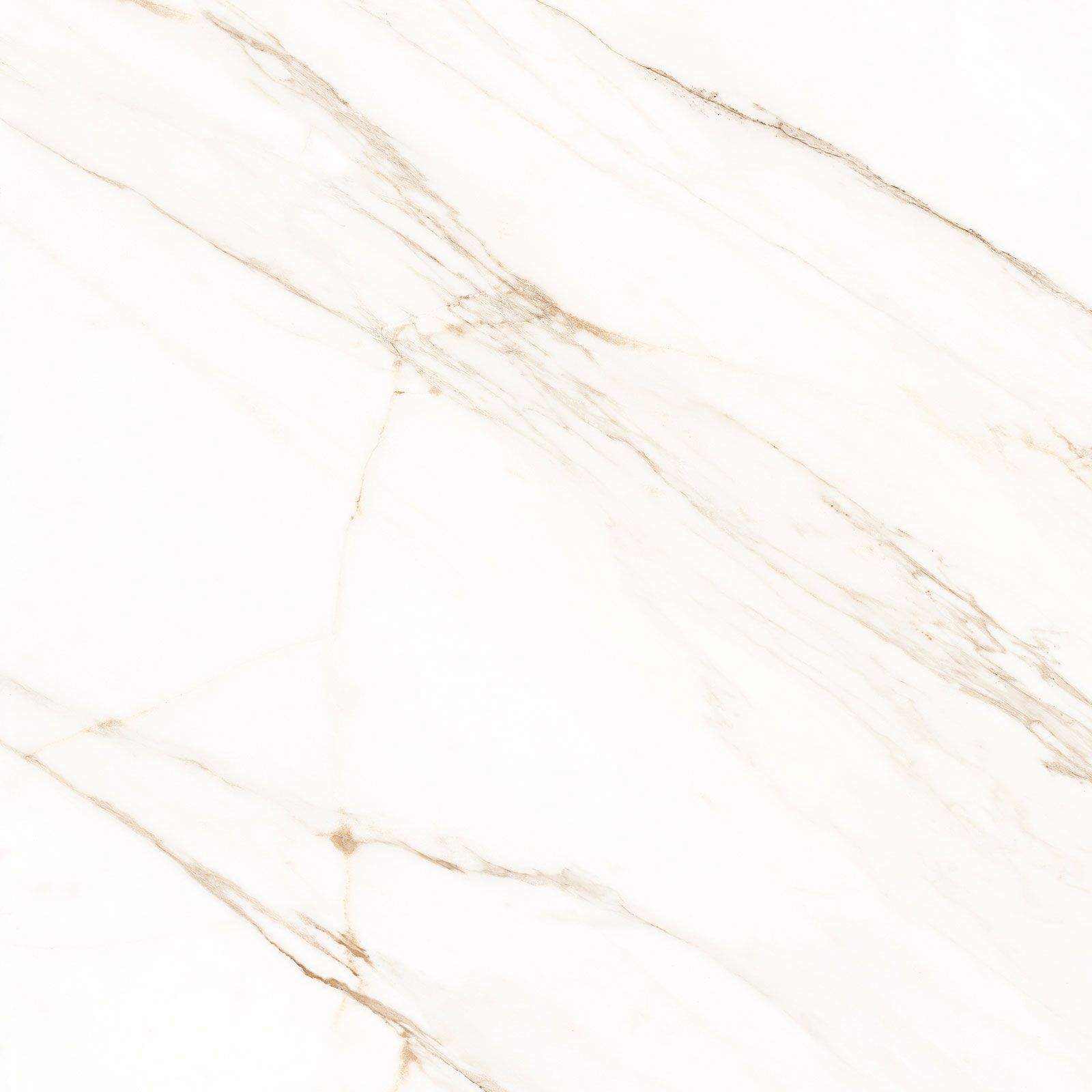 LUCCA WHITE 120×120(T) REC