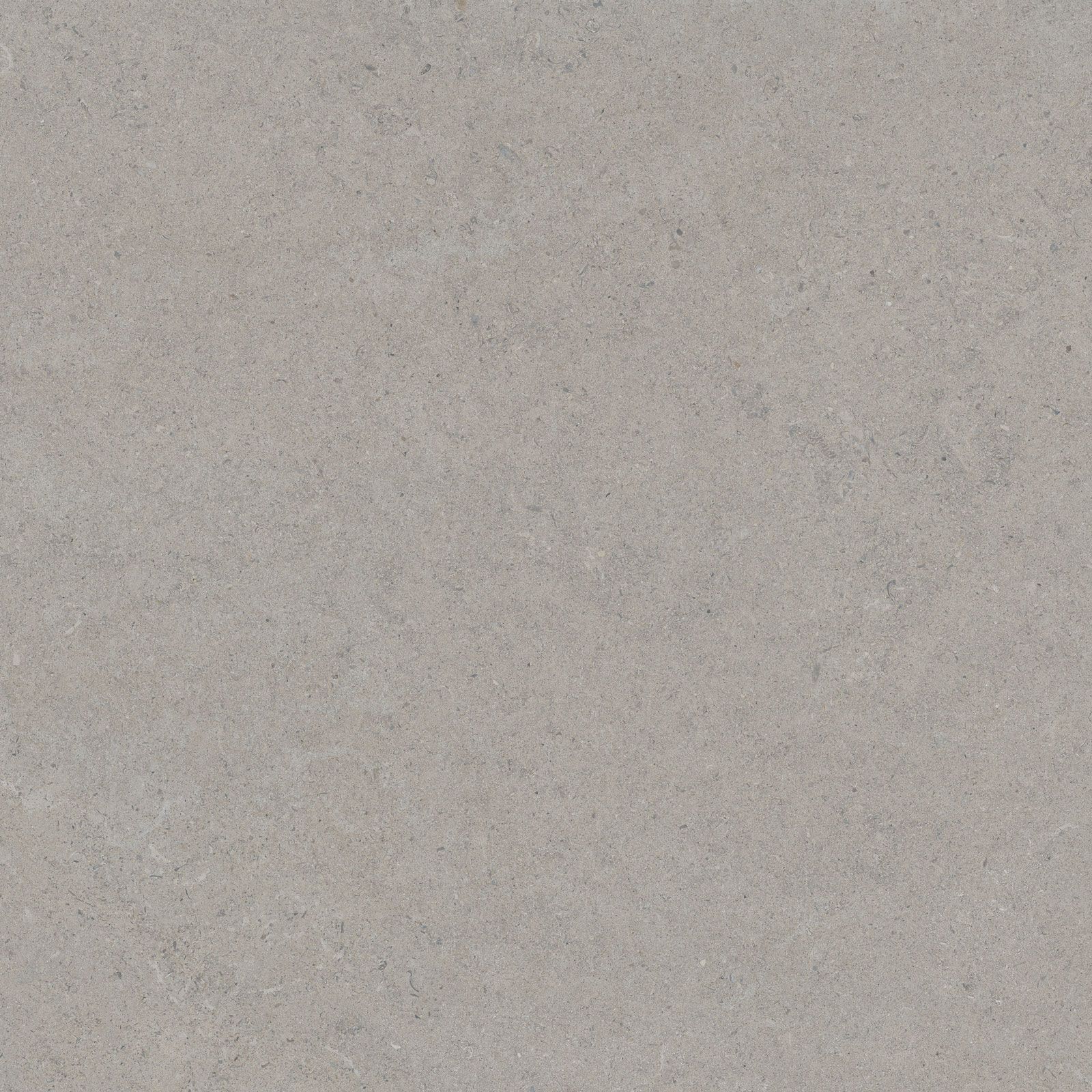 CALCARE SILVER 120X120(t) SP