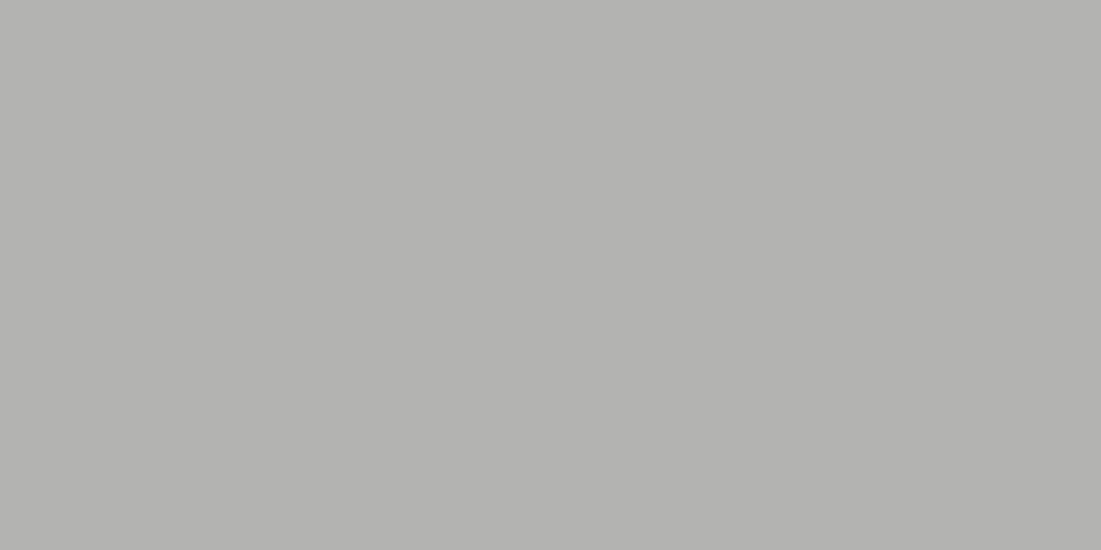 ZUMAIA SILVER 60X120 (F) REC