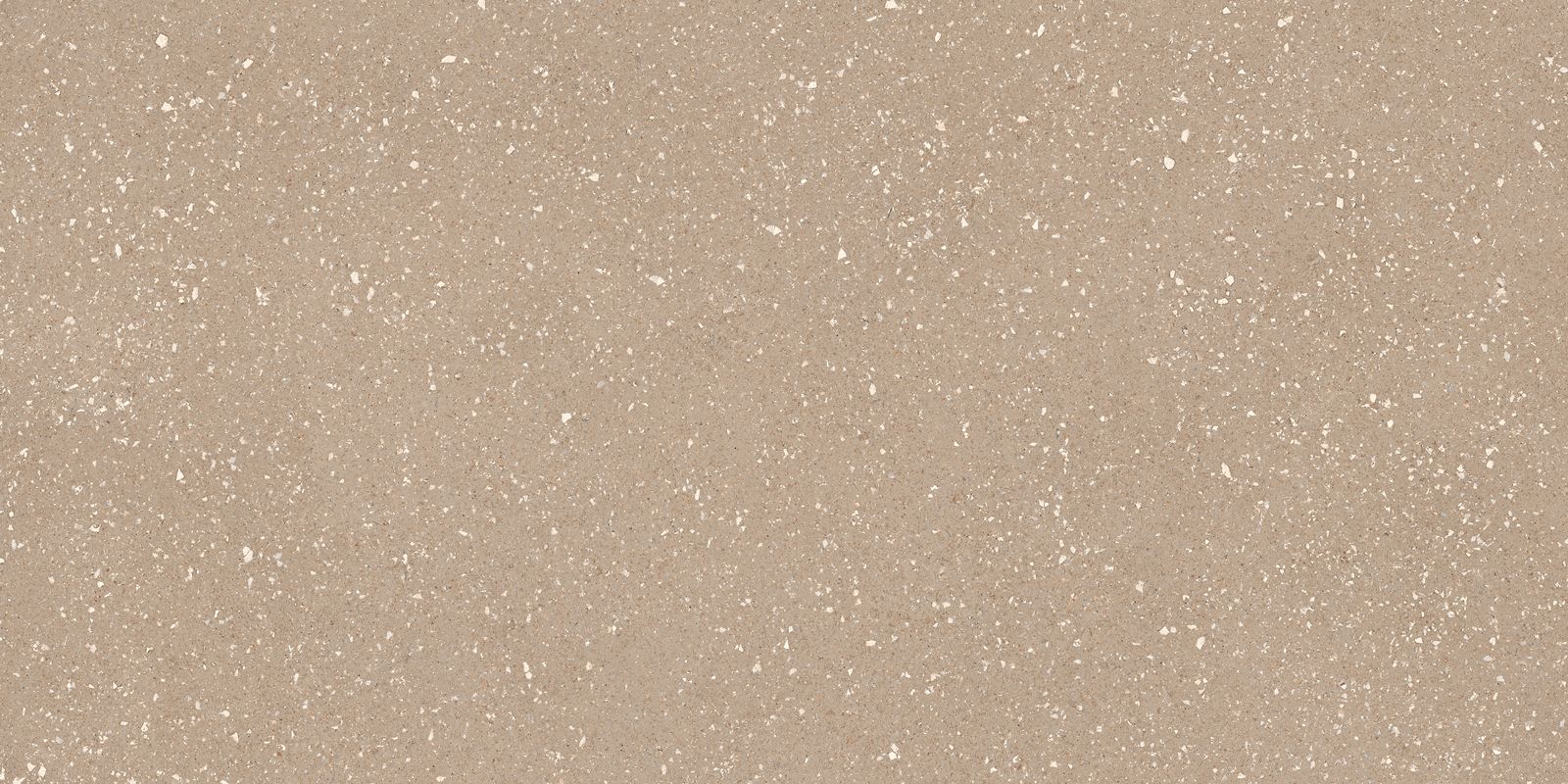 SASSY GREIGE 60X120 REC