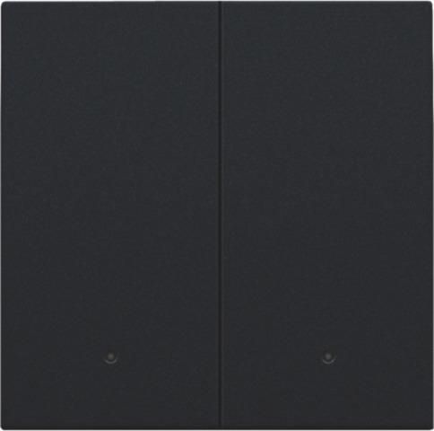Set de finition avec lentille pour interrupteur électronique double ou bouton - poussoir Black Coate