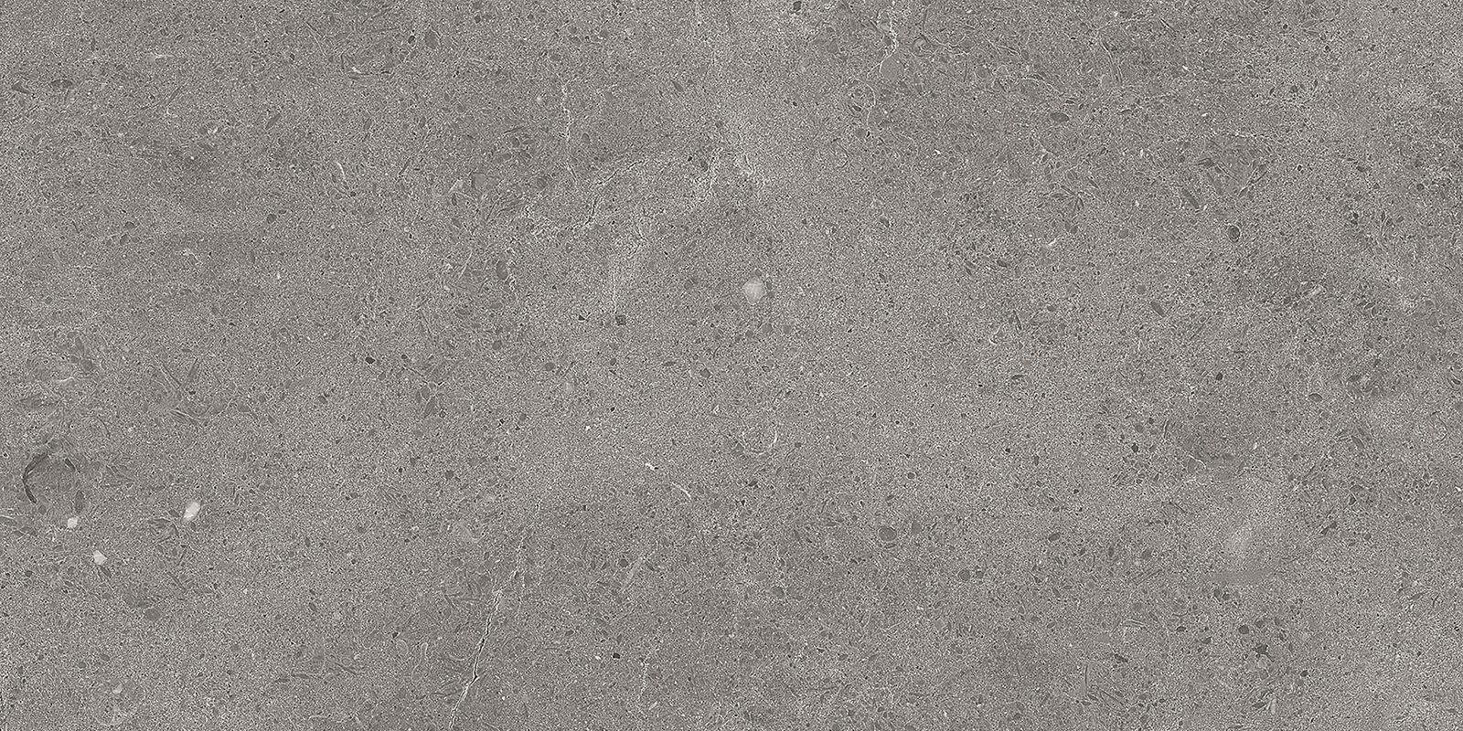 SERENASTONE GRAPHITE 30x60n(C ) REC