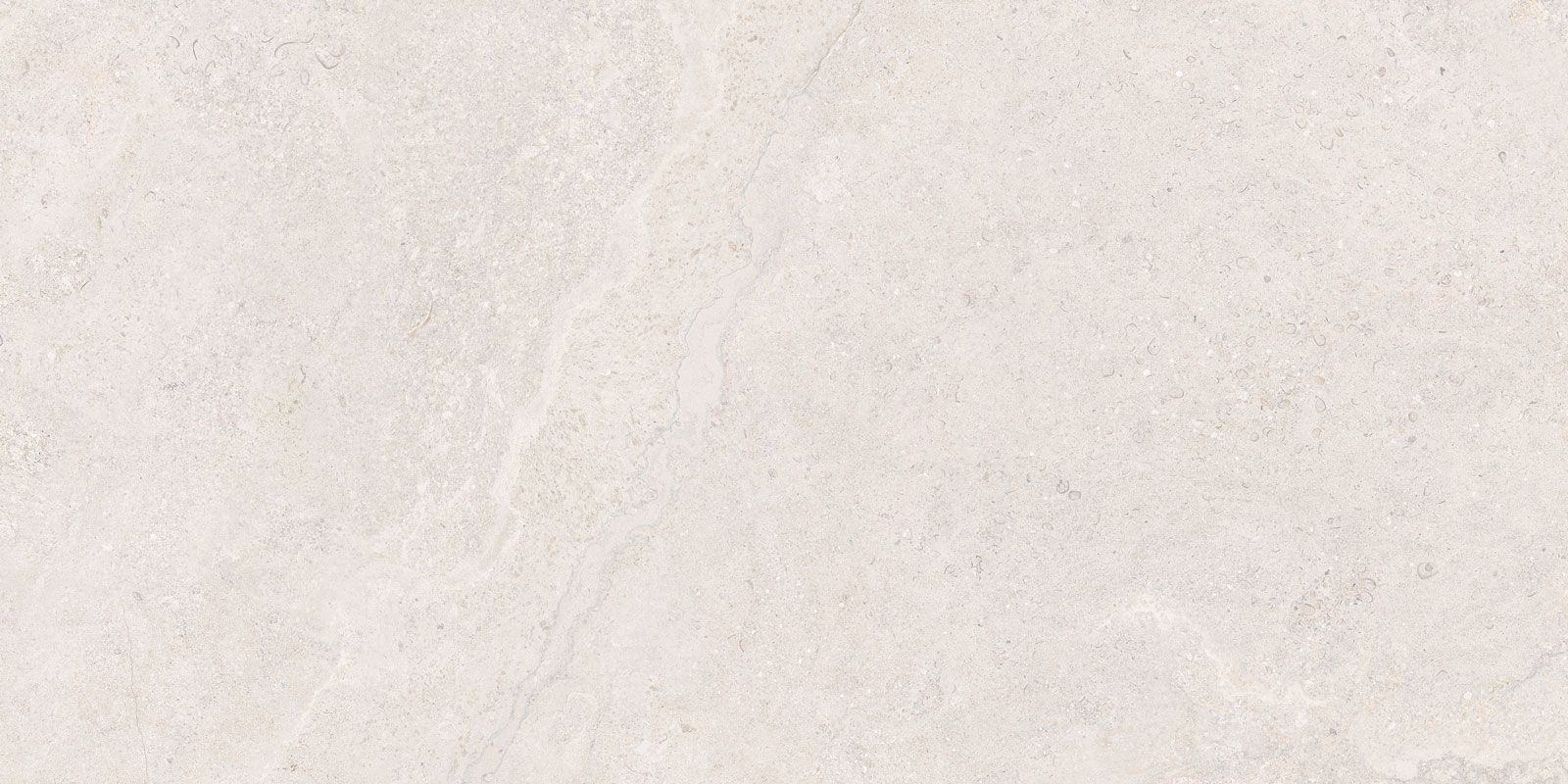 DORSET WHITE 60×120(n) ADZ