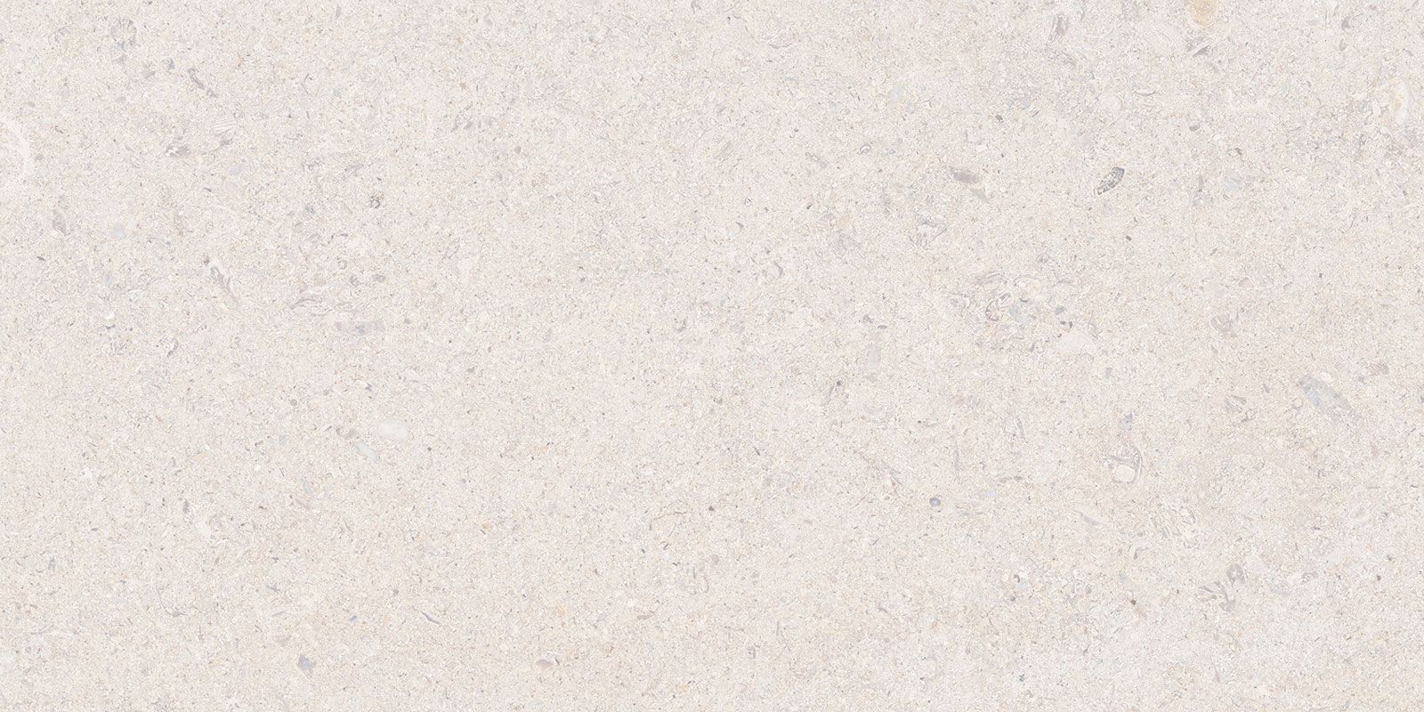 CALCARE WHITE 30X60(T)C SP