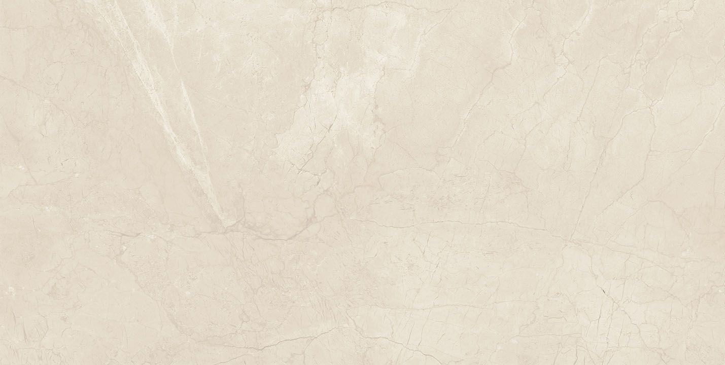 DELIGHT CREAM 60×120(n) REC