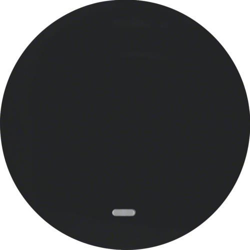 Touche avec voyant transparent Berker R.1 / R.3 Noir, brillant