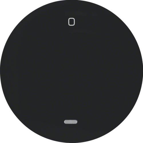 Touche avec voyant transparent et inscription 0 Berker R.1 / R.3 Noir, brillant