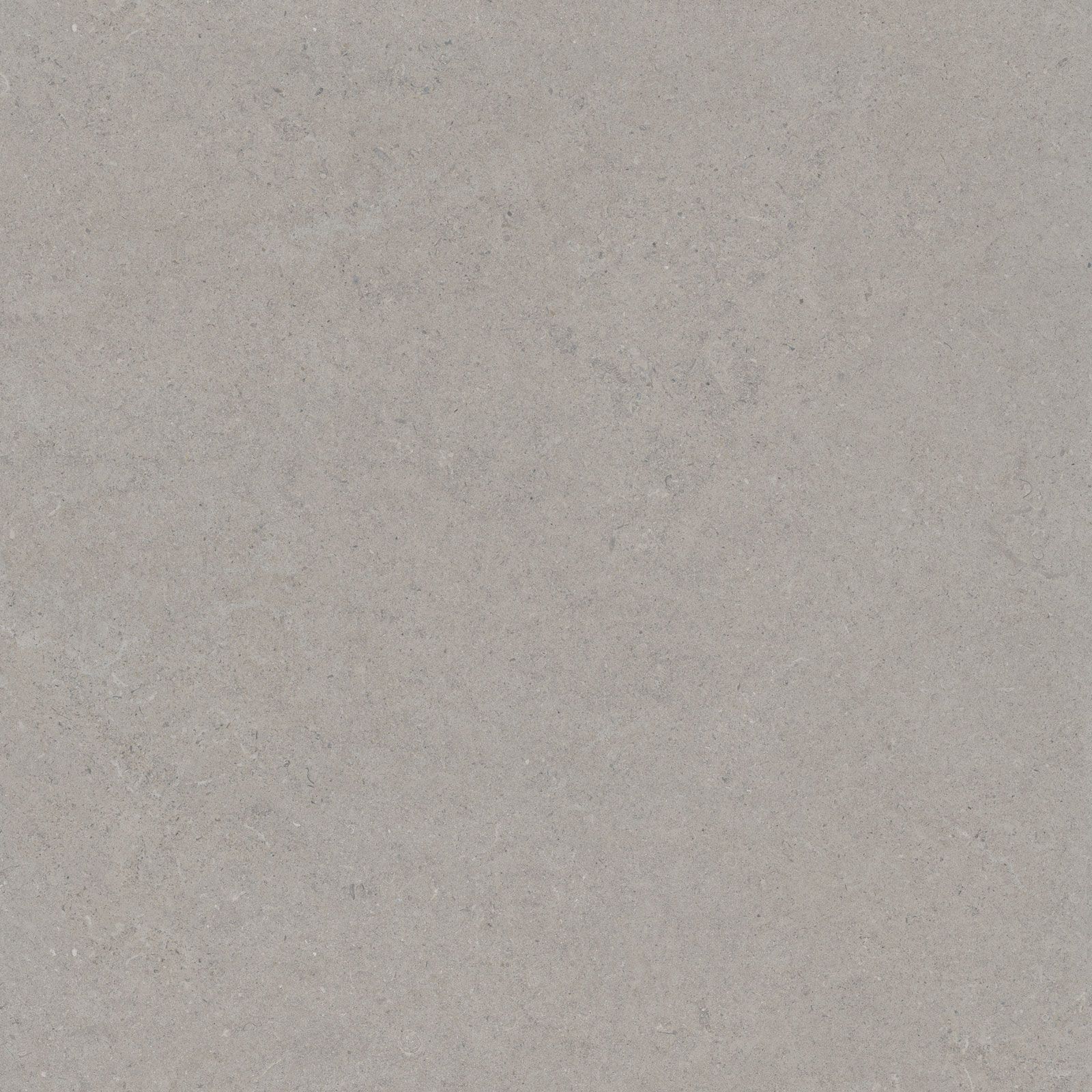 CALCARE SILVER 160X160(8MM) BRU