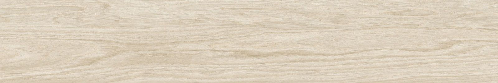 DOVER WHITE 20×120(n) REC