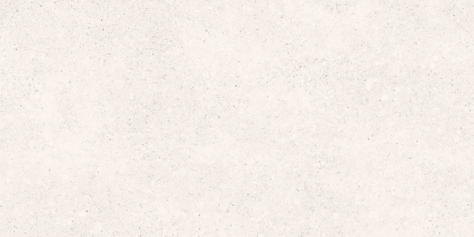 STALE WHITE 60X120 ADZ REC