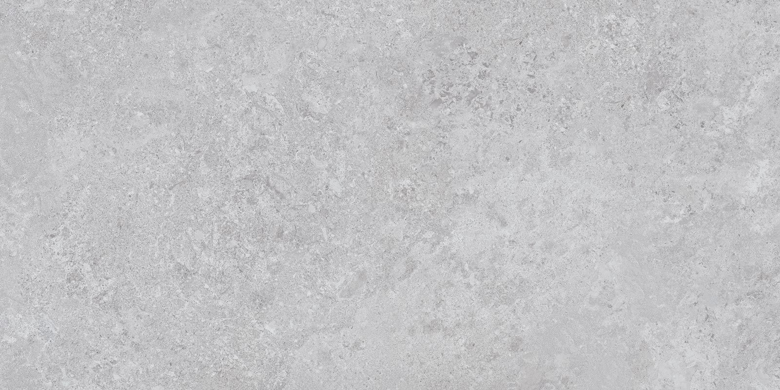 BORGA SILVER 60X120(N)20MM REC