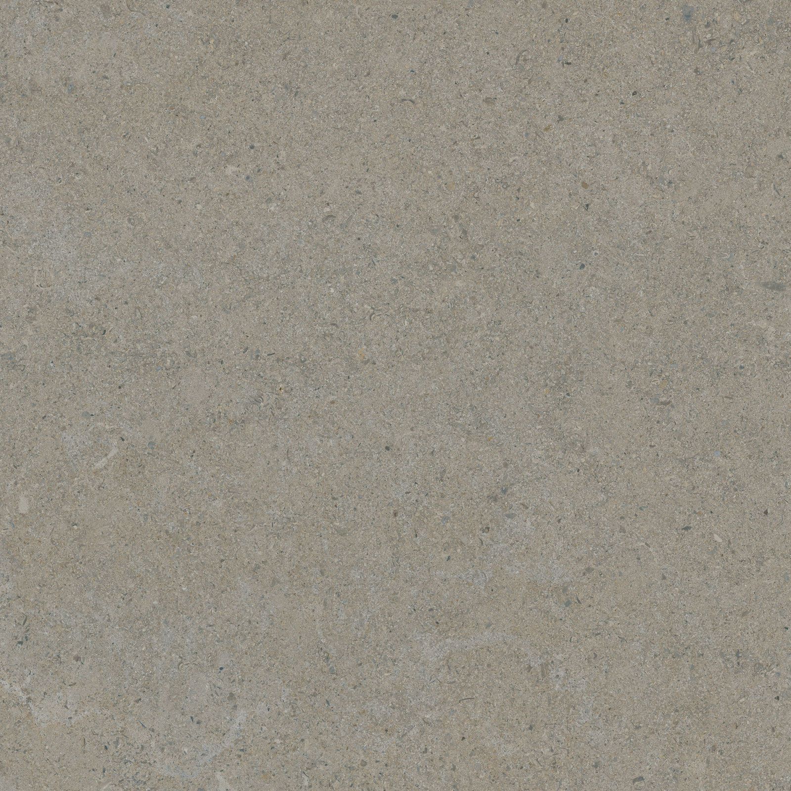 CALCARE GREIGE 60X60(T)C BRU