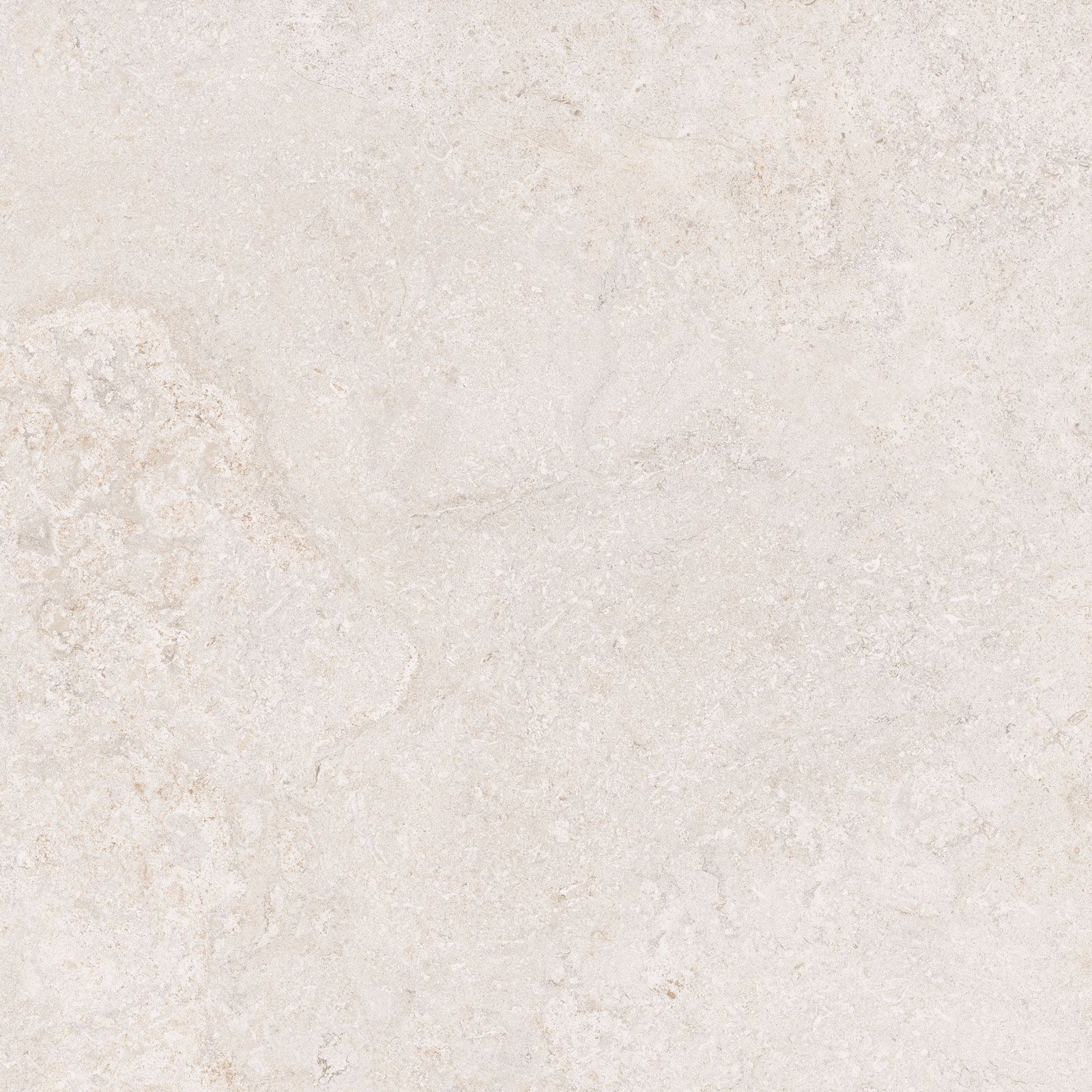 DORSET WHITE 60x60n(C) REC
