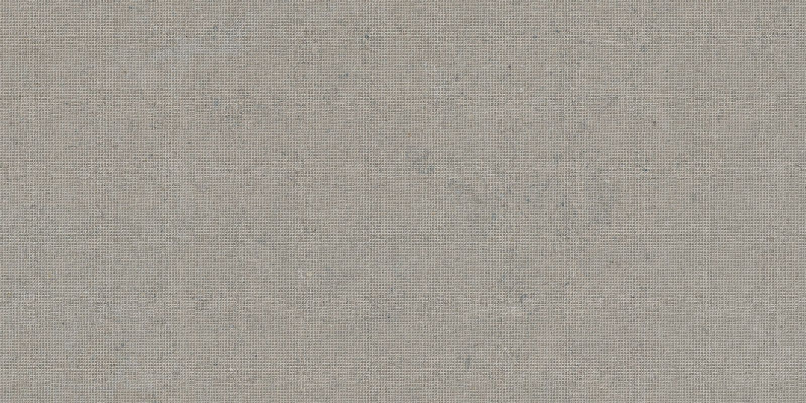 DC CALCARE GREIGE 60X120(T)C REC