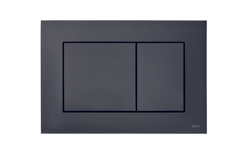 Tecenow Plaque DE Commande Rinçage Duo Noir