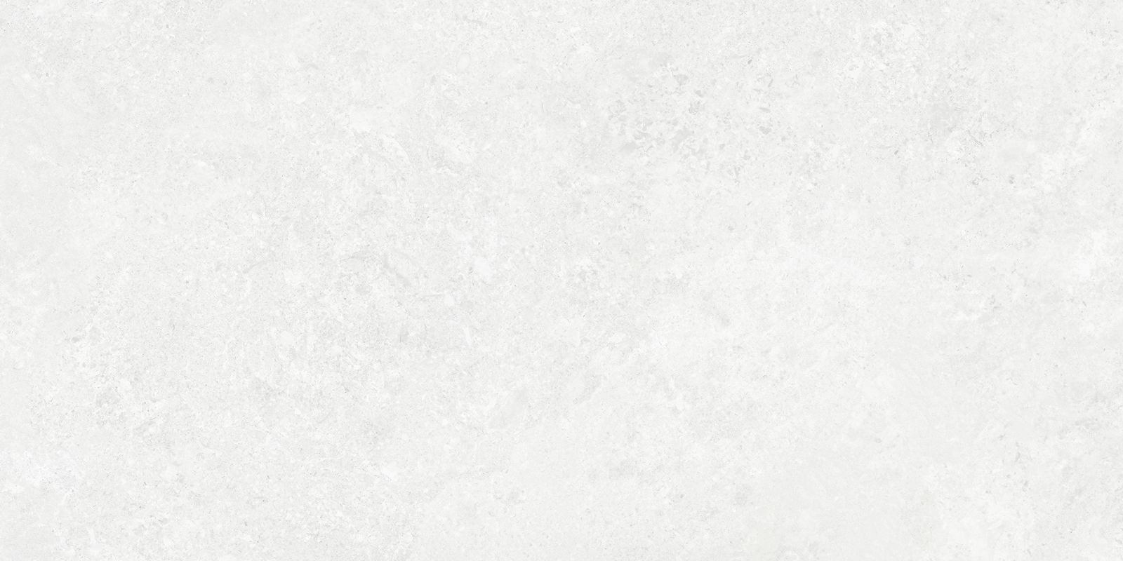 BORGA WHITE 60×120(n) REC