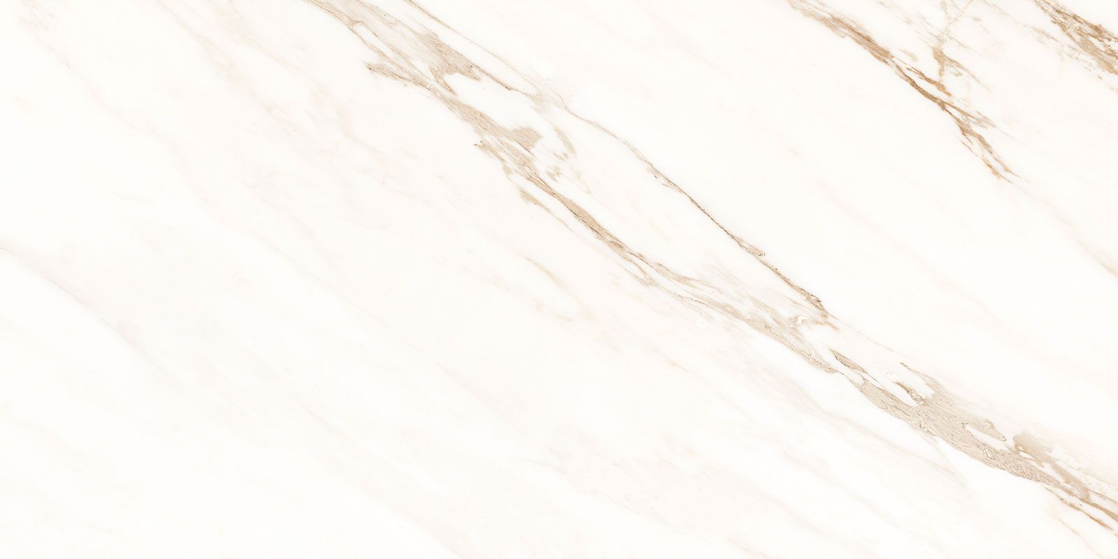 LUCCA WHITE 60X120(T)C REC