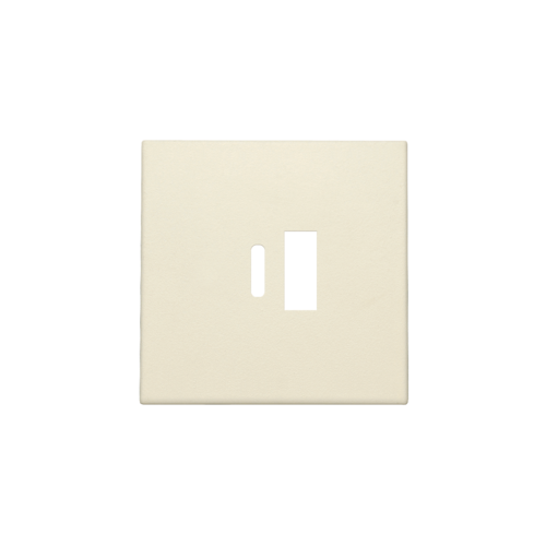 Set de finition pour double chargeur USB-A et USB-C intelligent, couleur cream