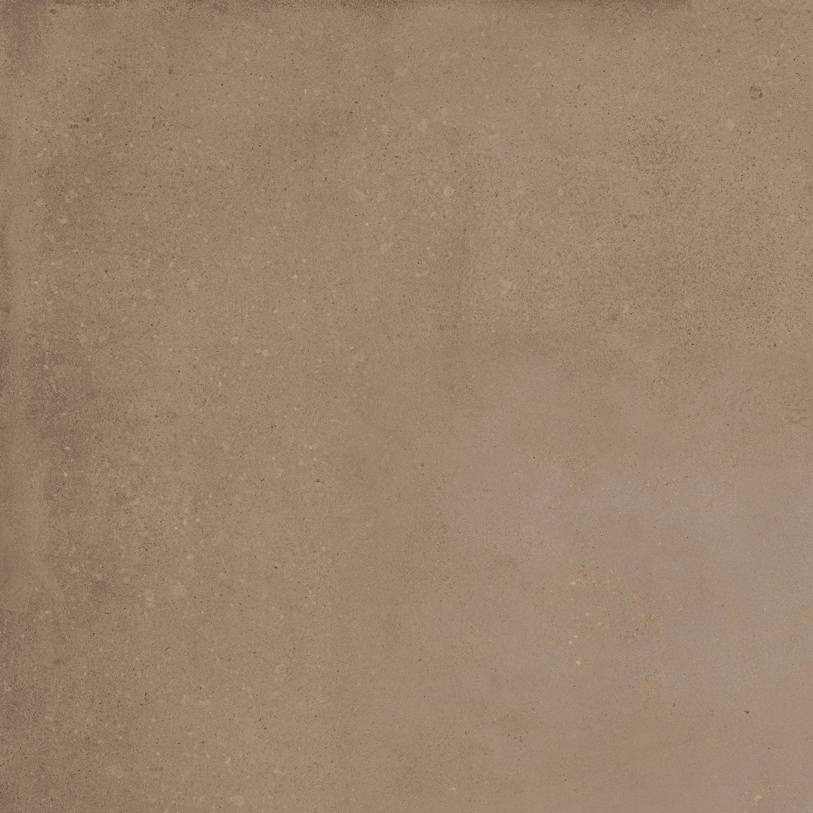 DETROIT COTTO 60X60(T)C BRU