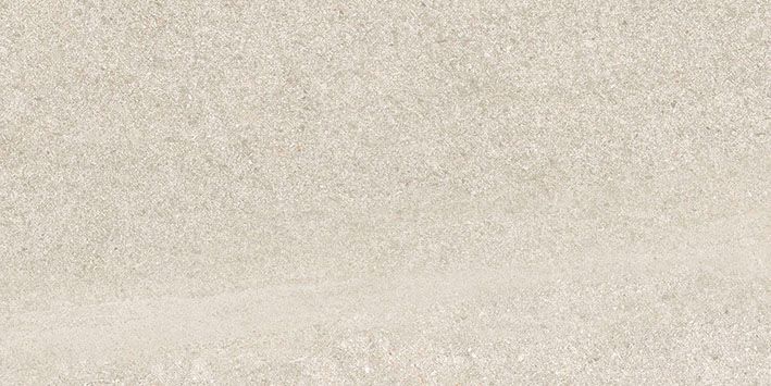 FIDENZA SILVER 30X60 REC