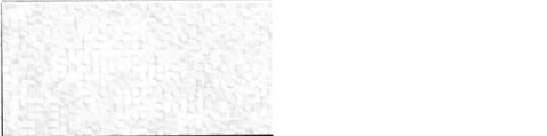 ANDROS BLANCO BR 25X50 vue 3
