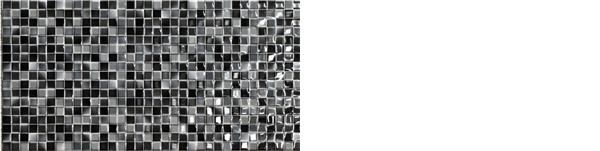 ANDROS NEGRO BR 25X50 vue 3