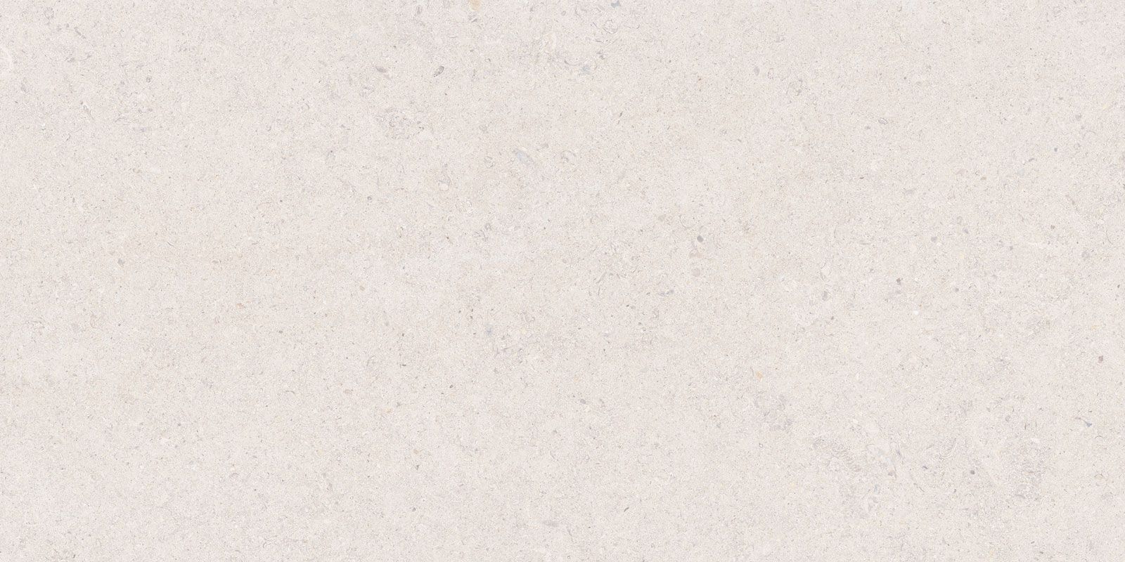CALCARE WHITE 60X120(T)C BRU